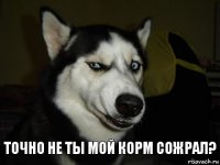 Точно не ты мой корм сожрал?