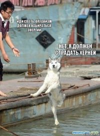 иди спать, организм должен набираться энергии нет, я должен страдать херней