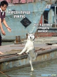 курсач лучше учи рус нет! я должен страдать фигней!