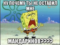 ну почему ты не оставил мне мандаринов????