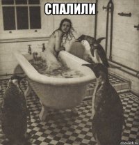 спалили 