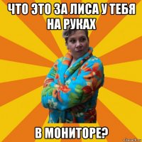 что это за лиса у тебя на руках в мониторе?