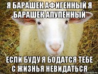 я барашек афигенный я барашек апупенный если буду я бодатся тебе с жизнья невидаться