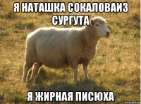 я наташка сокаловаиз сургута я жирная писюха