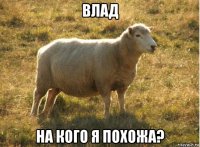 влад на кого я похожа?