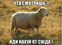 что смотришь ? иди нахуй от сюда !