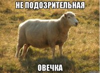 не подозрительная овечка