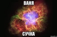 ваня сучка