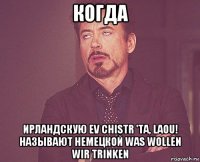 когда ирландскую ev chistr 'ta, laou! называют немецкой was wollen wir trinken