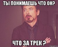 ты понимаешь что он? что за трек ?