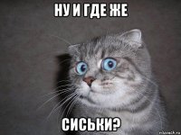 ну и где же сиськи?