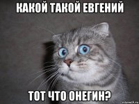 какой такой евгений тот что онегин?