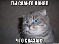 ты сам-то понял что сказал?