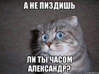 а не пиздишь ли ты часом александр?