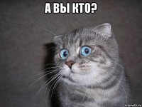 а вы кто? 