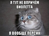 я тут не впричём виолетта я вообще персик