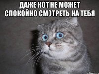 даже кот не может спокойно смотреть на тебя 