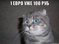 1 евро уже 100 руб 