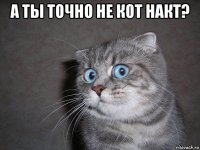 а ты точно не кот накт? 