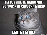 ты все еще не задал мне вопрос и не спросил меня? ебать ты лох