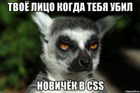 твоё лицо когда тебя убил новичёк в css