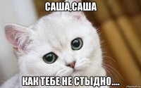 саша,саша как тебе не стыдно....