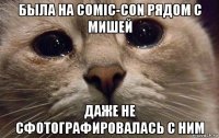 была на comic-con рядом с мишей даже не сфотографировалась с ним