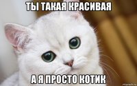 ты такая красивая а я просто котик