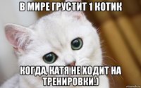 в мире грустит 1 котик когда, катя не ходит на тренировки:)