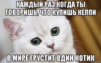 каждый раз,когда ты говоришь, что купишь кеппи в мире грустит один котик