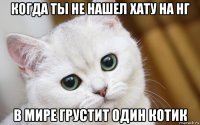 когда ты не нашел хату на нг в мире грустит один котик