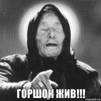 Горшок ЖИВ!!!