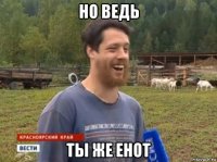 но ведь ты же енот