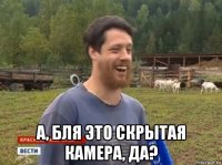  а, бля это скрытая камера, да?