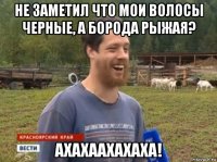 не заметил что мои волосы черные, а борода рыжая? ахахаахахаха!