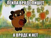 лейла вроде пишет а вроде и нет