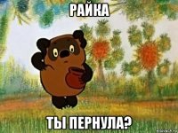 райка ты пернула?