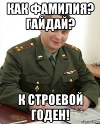 как фамилия? гайдай? к строевой годен!