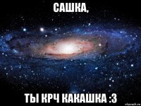 сашка, ты крч какашка :3