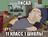 писал 11 класс 1 школы