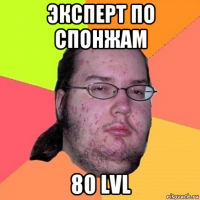 эксперт по спонжам 80 lvl