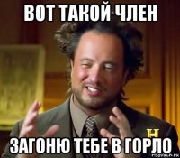 вот такой член загоню тебе в горло