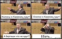 Колосы в Каменец едут! Онопки в Каменец едут! А Берташи что не едут? Ебать...