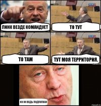 Линк везде командует То тут То там Тут моя территория. Но он ведь Подполкан