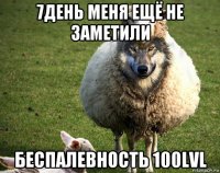 7день меня ещё не заметили беспалевность 100lvl