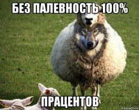 без палевность 100% працентов