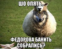 шо опять.. федорова банить собрались?