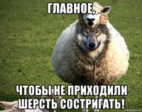 главное, чтобы не приходили шерсть состригать!