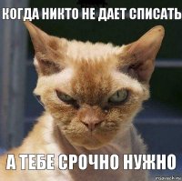 КОГДА НИКТО НЕ ДАЕТ СПИСАТЬ А ТЕБЕ СРОЧНО НУЖНО