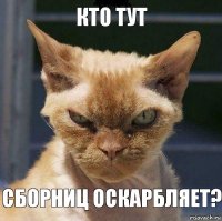 Кто тут сборниц оскарбляет?